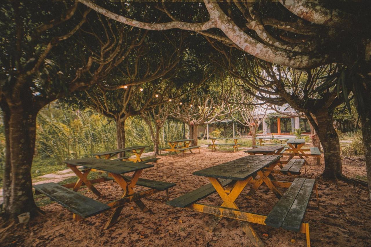Kantu Garden Lodge Moyobamba Extérieur photo